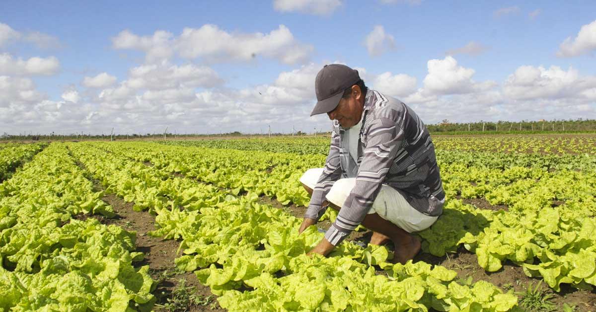 MUDANÇAS NO MEI 2018: TUDO QUE VOCÊ PRECISA SABER